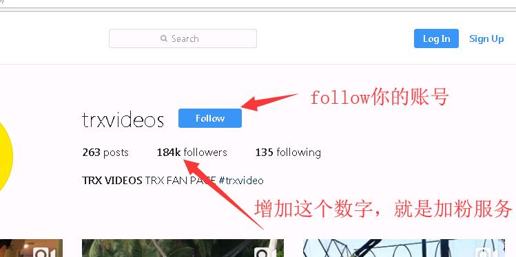 Instagram真人服务 买粉丝买赞 加粉涨follower 点赞like 刷ins浏览量评论等-图片2