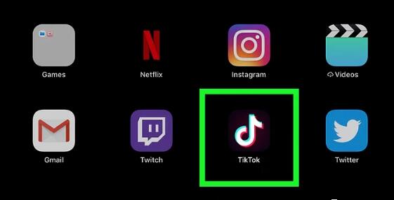 2020最新Shopify外贸站推广之国外抖音Tiktok引流教程-图片3