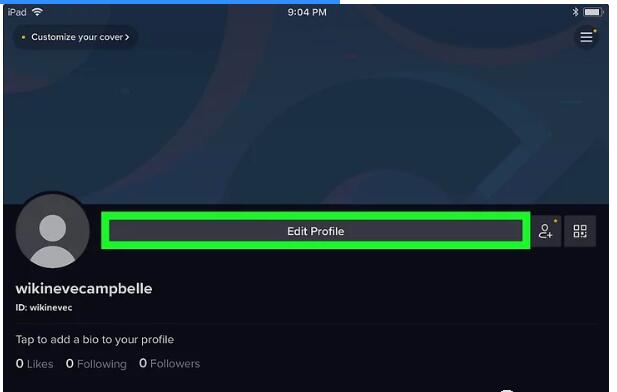 2020最新Shopify外贸站推广之国外抖音Tiktok引流教程-图片4
