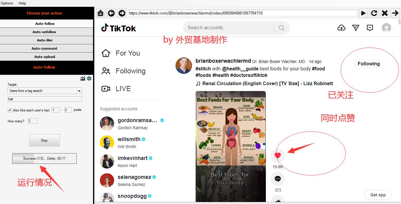 tiktok营销软件NinjaTok 加粉点 赞 中文图文教程-图片9