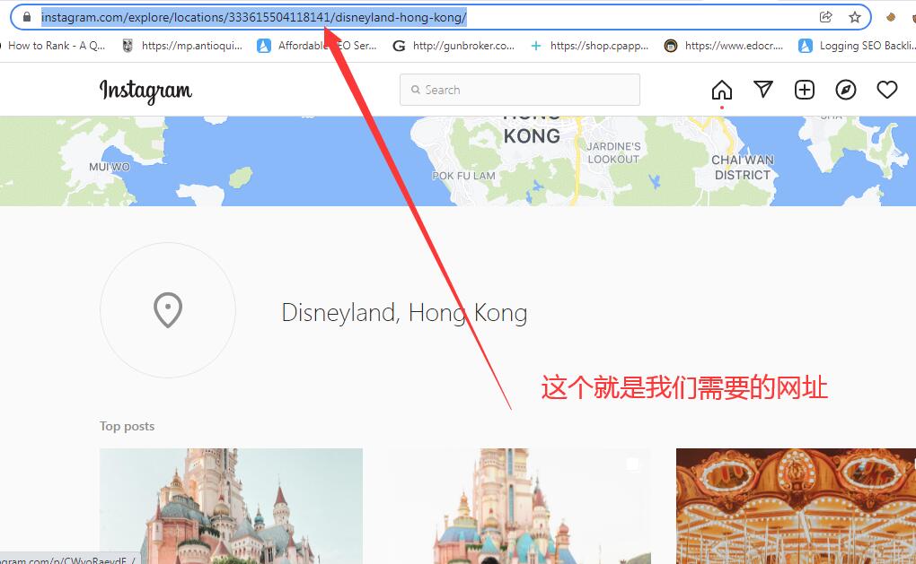 2022最新Instagram营销工具Instatadub教程之按地区加粉和点赞-图片4