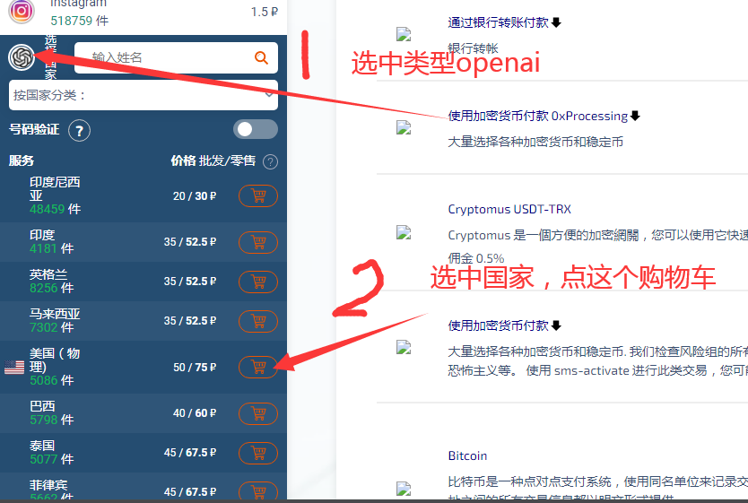 chatgpt注册必备之短信验证服务商sms-activate.org购买充值使用教程-图片8