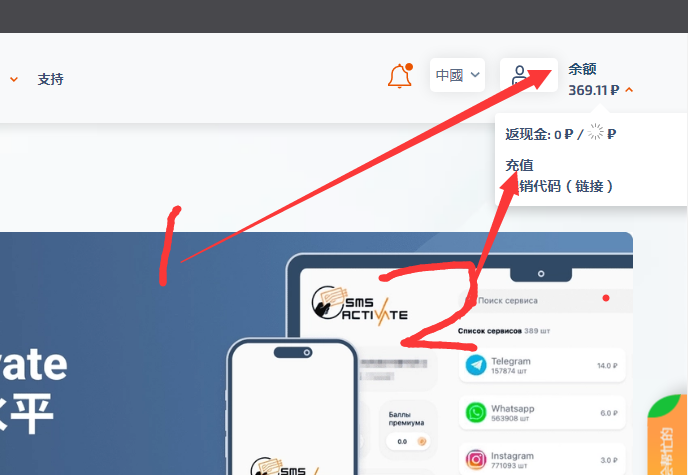 chatgpt注册必备之短信验证服务商sms-activate.org购买充值使用教程-图片4