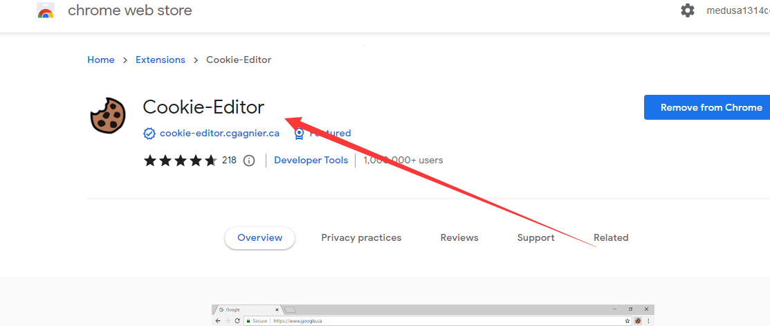 推特群发帖软件twitterdub如何导入带cookies的账号-图片7