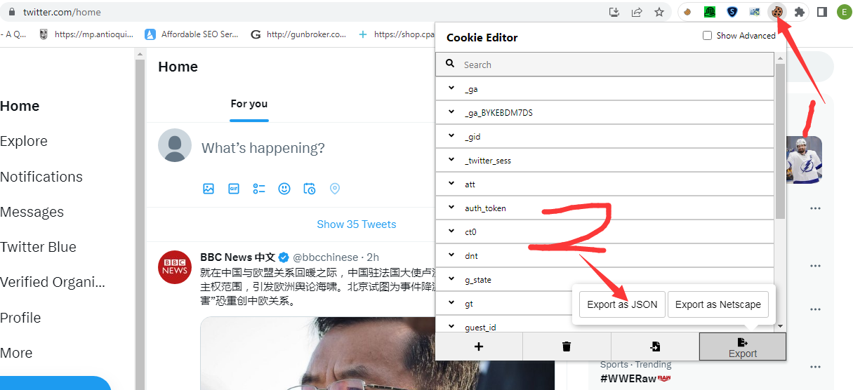 推特群发帖软件twitterdub如何导入带cookies的账号-图片8