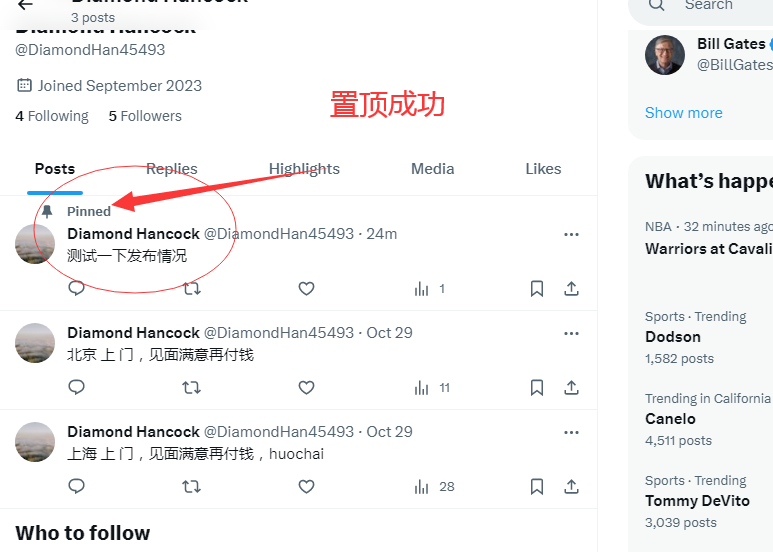推特群发工具Twitterdub如何置顶最新推文或置顶指定推文-图片4
