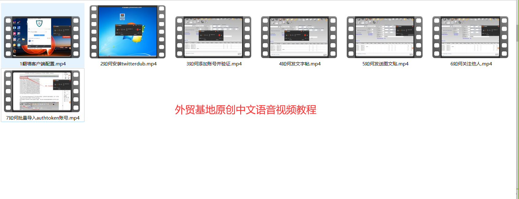 Twitterdub 2026 最新版 |专业推特 X平台营销与多账号管理软件-图片2