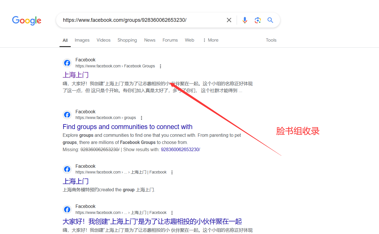 Google网站收录服务/谷歌收录/x推特账号收录/飞机频道收录/脸书页面收录 不成功不收费-图片4