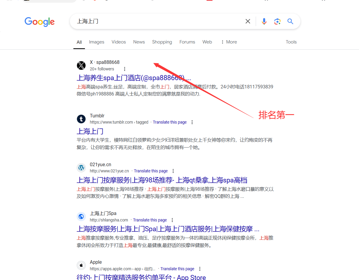 Google网站收录服务/谷歌收录/x推特账号收录/飞机频道收录/脸书页面收录 不成功不收费-图片5