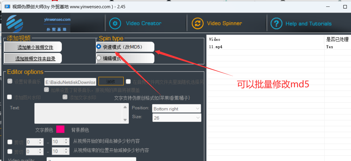 视频伪原创大师最新版 支持批量视频伪原创 一键合成上百视频 Youtube视频营销必备-图片13