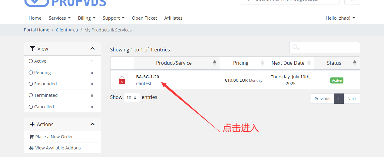 Profvds VPS 最适合邮件群发营销的国外VPS服务器 图文购买教程-图片7