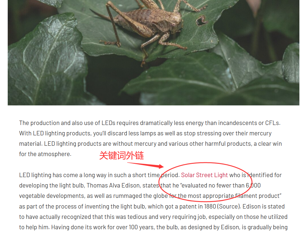 谷歌外链代发 高质量混合双层外链套餐 包含DA 90+ 外链方案模版-图片1